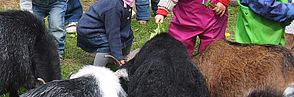 Freies Spielen lässt Talente entfalten